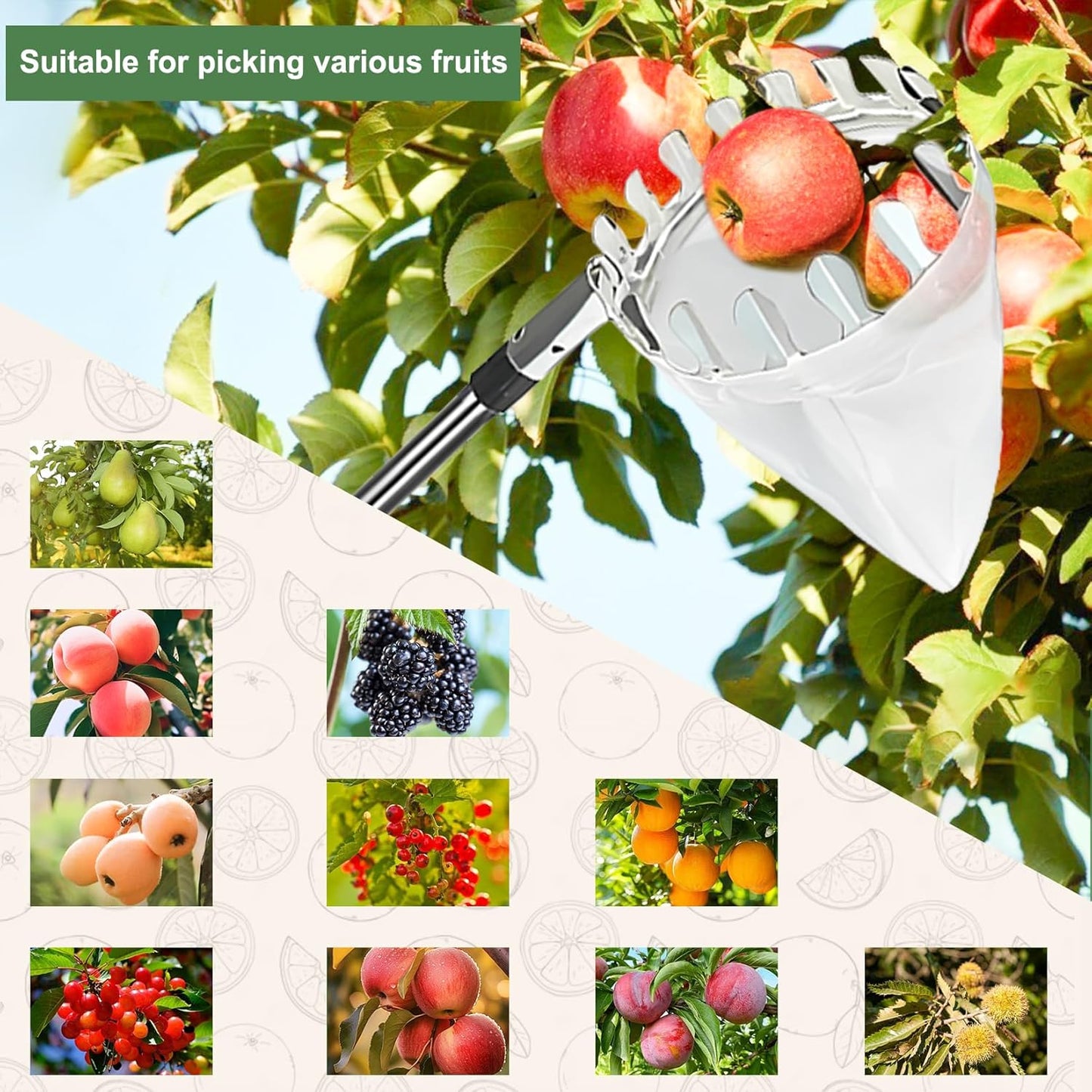 Teleskop-Obstpflücker, 3,2 m Apfelpflücker, Abnehmbarer Obstpflücker, Gartenpflückwerkzeug für Baumbirnen-Pfirsiche-Obstpflücker