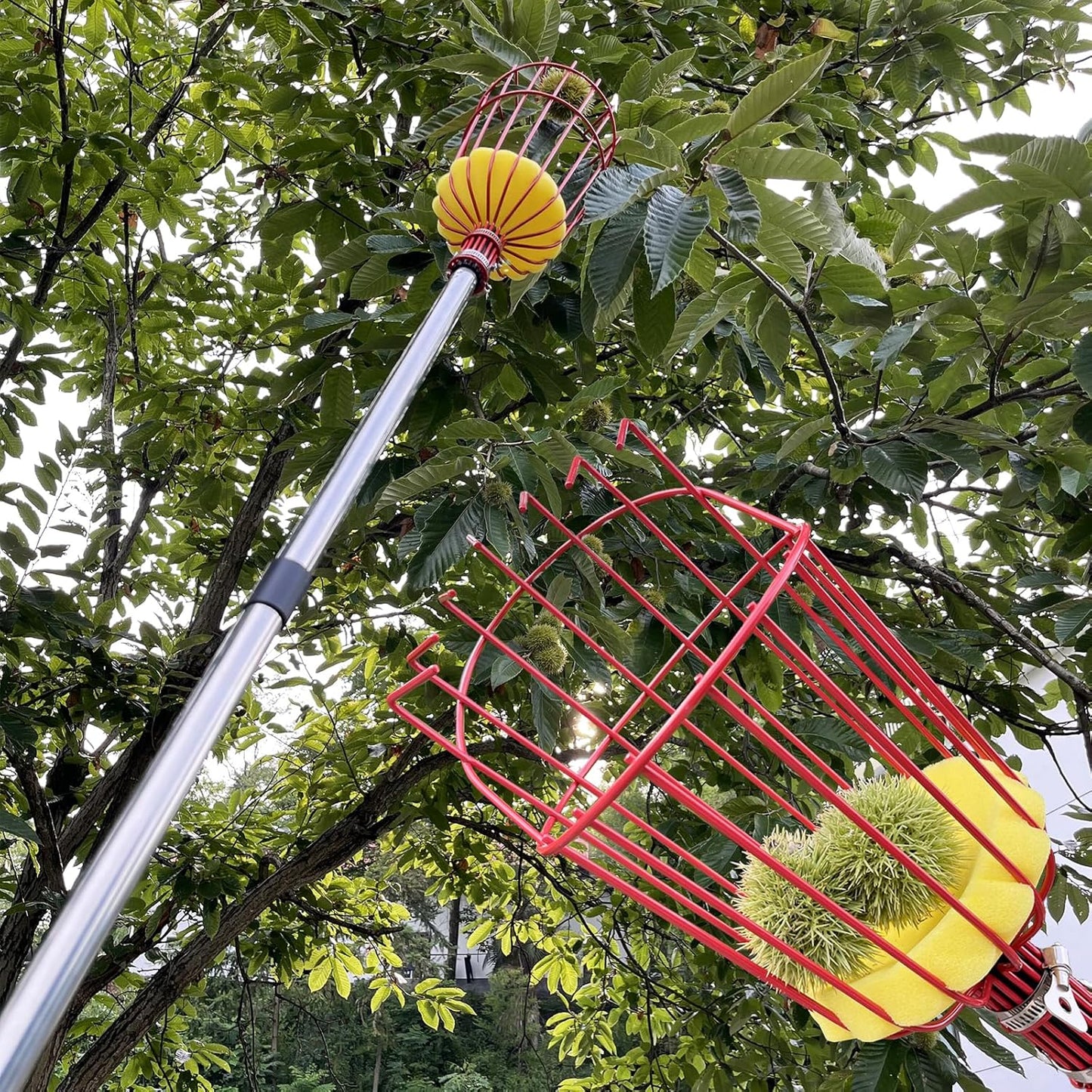 Obstpflücker, Obstpflückkopf, Metallpflückstab, Gartengeräte für Obstbäume, ohne Teleskopstange(rot)